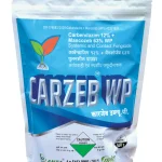 Carzeb WP