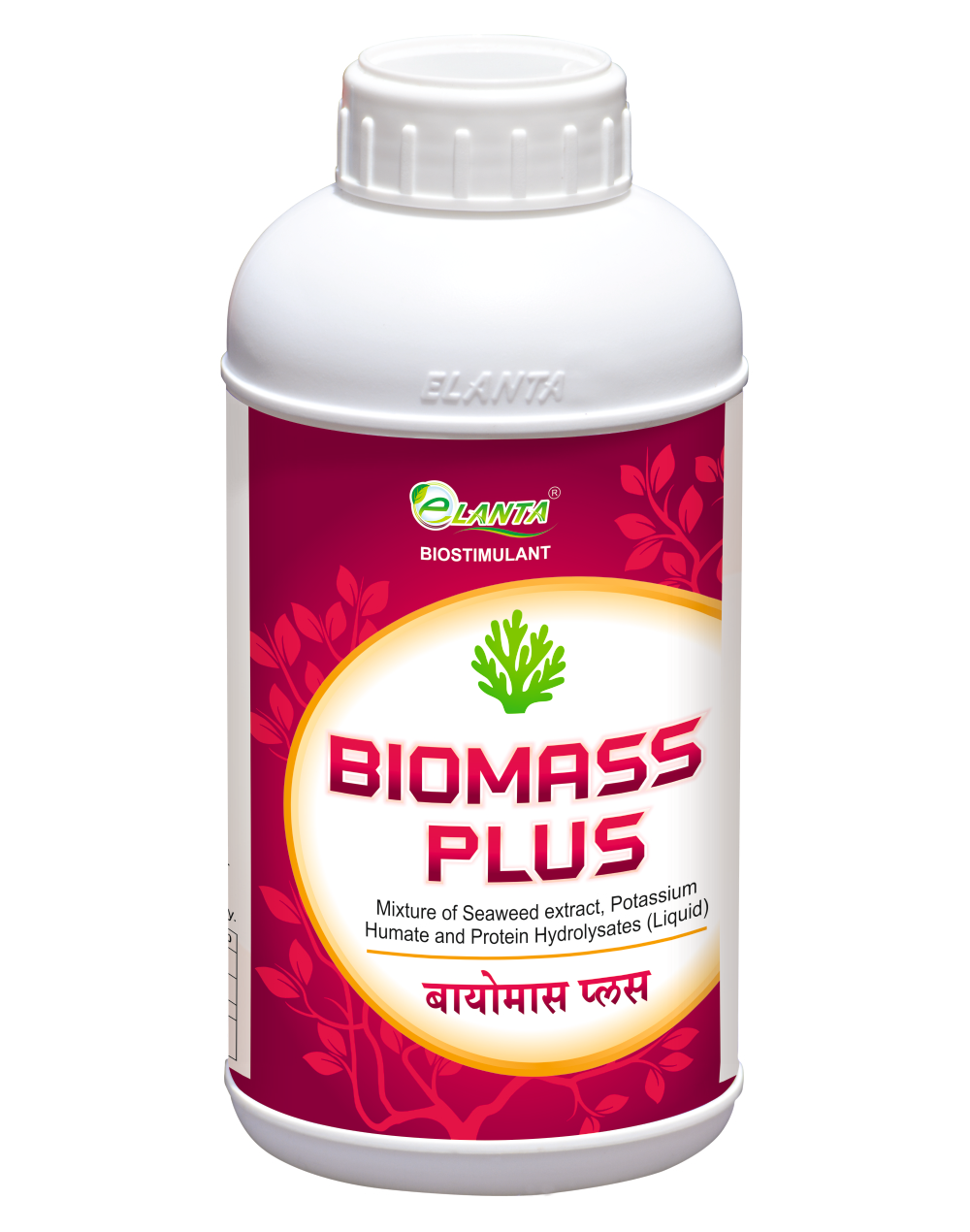 Biomass Plus